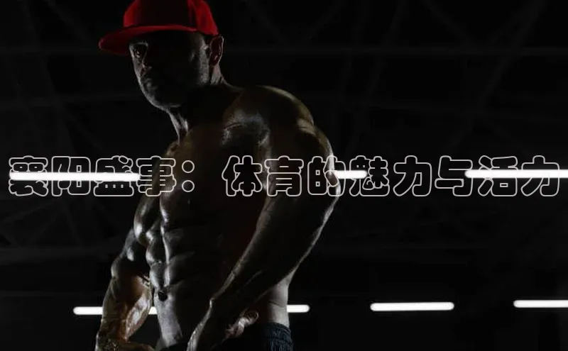 襄阳盛事：体育的魅力与活力